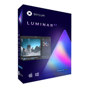 루미나르 Luminar AI 2PC 평생사용 사진보정 라이트룸 Skylum